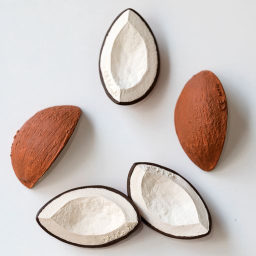 Coco The Coconut | Rainbow Toybox | Quality Toys & Learning Resources