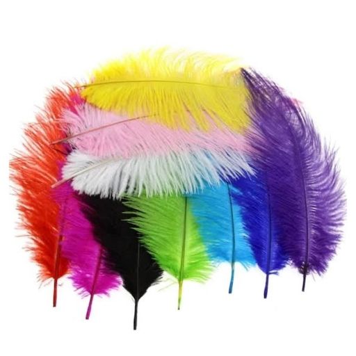 Coloured Feather | Rainbow Toybox | Quality Toys & Learning Resources