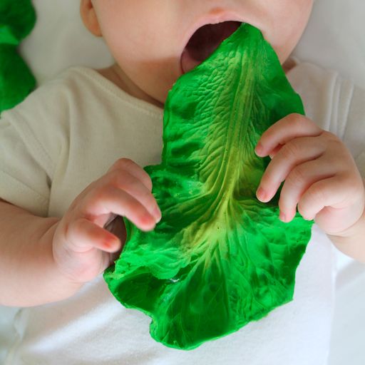 Kendall The Kale | Rainbow Toybox | Quality Toys & Learning Resources